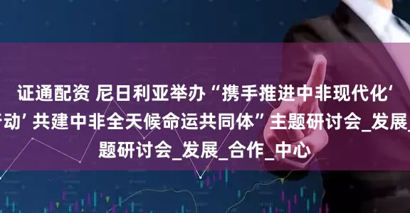 证通配资 尼日利亚举办“携手推进中非现代化‘十大伙伴行动’ 共建中非全天候命运共同体”主题研讨会_发展_合作_中心