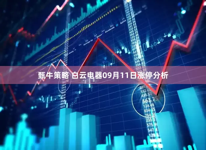 甄牛策略 白云电器09月11日涨停分析