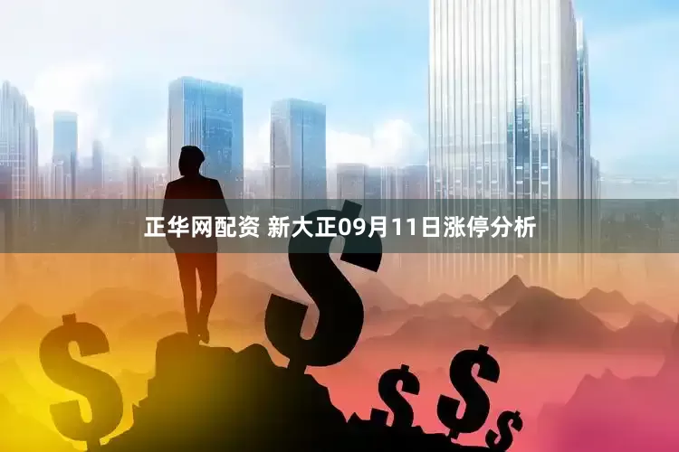 正华网配资 新大正09月11日涨停分析