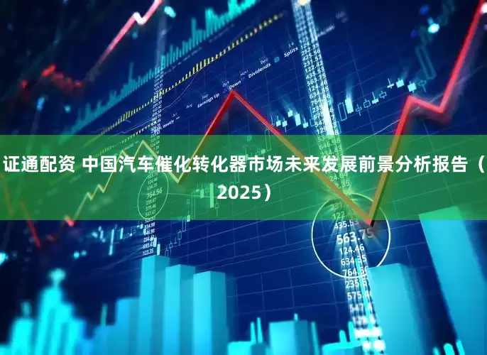 证通配资 中国汽车催化转化器市场未来发展前景分析报告（2025）