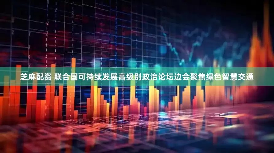 芝麻配资 联合国可持续发展高级别政治论坛边会聚焦绿色智慧交通